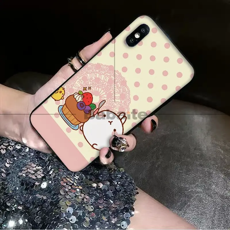 Cutest Kawaii Box Potatoes and rabbits Molang