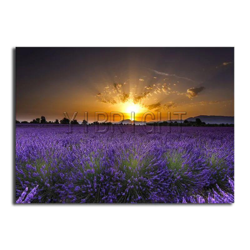 Full Square Diamond embroidery Cross stitch Purple Roland Full Round Diamond mosaic Violet DIY 3D Diamond painting landscape
Full Square Diamond embroidery Cross stitch Purple Roland Full Round Diamond mosaic Violet DIY 3D Diamond painting landscape