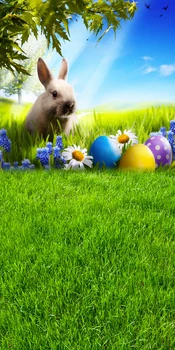 Art Fabric Photo Studio Senior Background Easter Egg Rabbit Backdrop For Indoor Newborn Children D-9771
Art Fabric Photo Studio Senior Background Easter Egg Rabbit Backdrop For Indoor Newborn Children D-9771