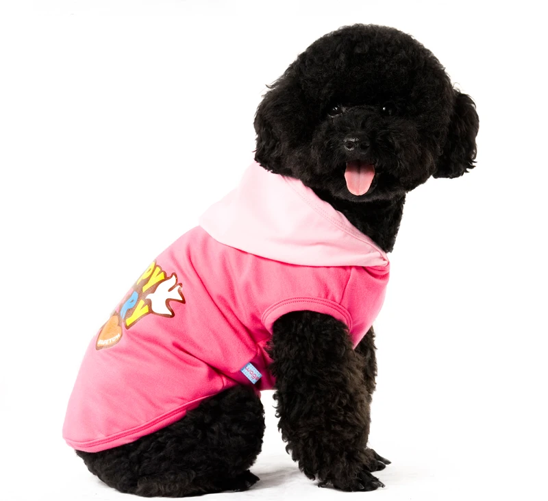 14 dog hoodies