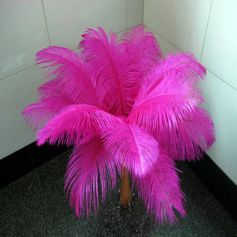 Wholesale free shipping high quality 50pcs natural Mei red ostrich feather 20-22inch / 50-55cm Variety of decorative
Wholesale free shipping high quality 50pcs natural Mei red ostrich feather 20-22inch / 50-55cm Variety of decorative