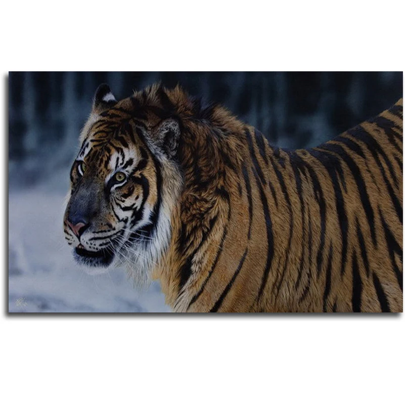 Diamond Square Rhinestone Painting Animal Diamond Embroidery Tiger Hobby Craft Cross-Stitch Needlework Icons Crafts Drill Cloth
Diamond Square Rhinestone Painting Animal Diamond Embroidery Tiger Hobby Craft Cross-Stitch Needlework Icons Crafts Drill Cloth
