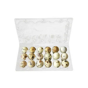 50Pcs 18 Grids Quail Egg Storage Box Plastic Transparent Egg Dispenser Holder Case Refrigerator Egg Protection Box
50Pcs 18 Grids Quail Egg Storage Box Plastic Transparent Egg Dispenser Holder Case Refrigerator Egg Protection Box