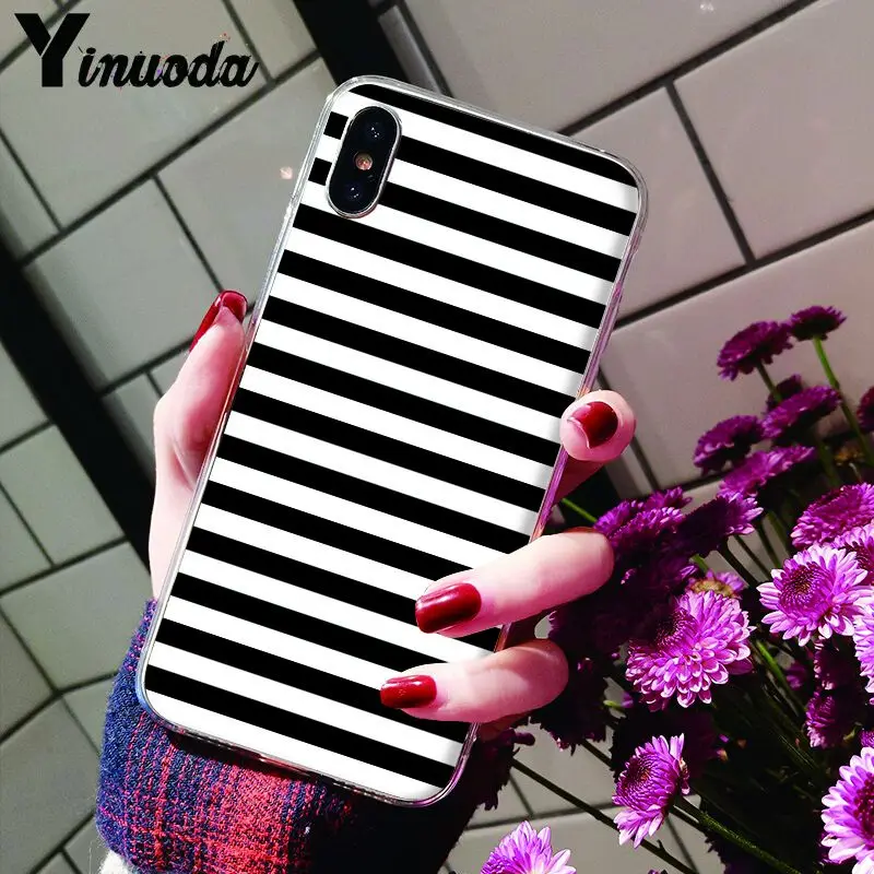Animal Black white Zebra Stripe