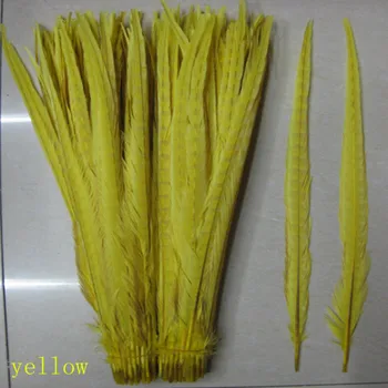 natural yellow pheasant tail feather 50 PCS40-45 cm 16-18 inches pheasant plumage artware headwear plume
natural yellow pheasant tail feather 50 PCS40-45 cm 16-18 inches pheasant plumage artware headwear plume