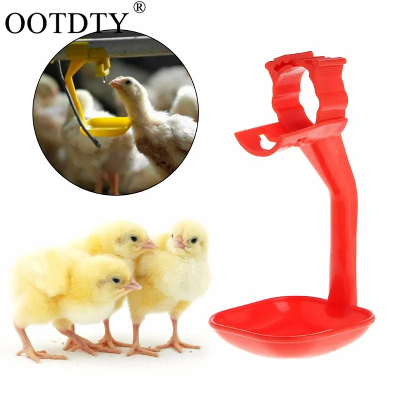 Chicken Drinking Cup Hanging Feeder Drink Water Troughs Devices Poultry Farm Supplies Tools Chick Hen Bowl Dispenser Pendant
Chicken Drinking Cup Hanging Feeder Drink Water Troughs Devices Poultry Farm Supplies Tools Chick Hen Bowl Dispenser Pendant