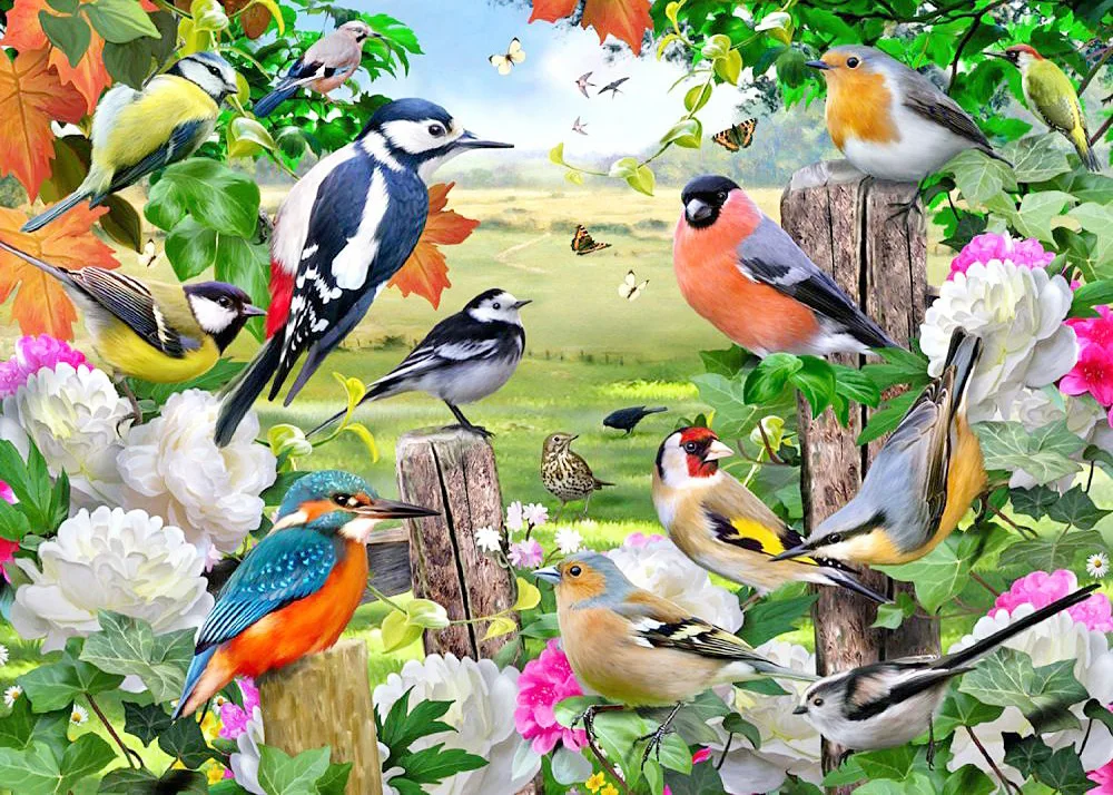 DIY Diamond Painting Kits Diamond Embroidery Square Rhinestone Birds Picture Cross Stitch Diamond Painting
DIY Diamond Painting Kits Diamond Embroidery Square Rhinestone Birds Picture Cross Stitch Diamond Painting