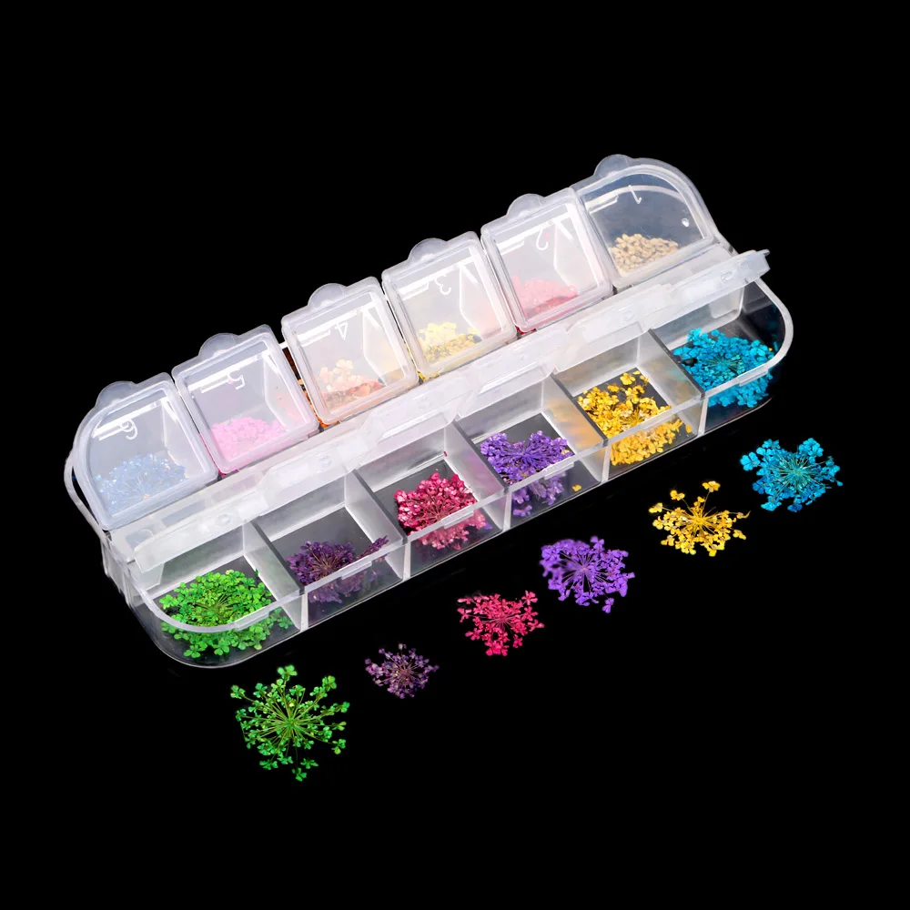 36Pcs 12 Patterns 3D Dry Flowers Stickers Real Dried Flower Nail Art Decoration Tips DIY Manicure Tools with Box
36Pcs 12 Patterns 3D Dry Flowers Stickers Real Dried Flower Nail Art Decoration Tips DIY Manicure Tools with Box