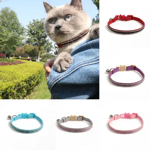 Personalized Cat Collar Rhinestone Puppy Small Dogs Collars Custom for Chihuahua Yorkshire Free Name Charms Cat Accessories
Personalized Cat Collar Rhinestone Puppy Small Dogs Collars Custom for Chihuahua Yorkshire Free Name Charms Cat Accessories