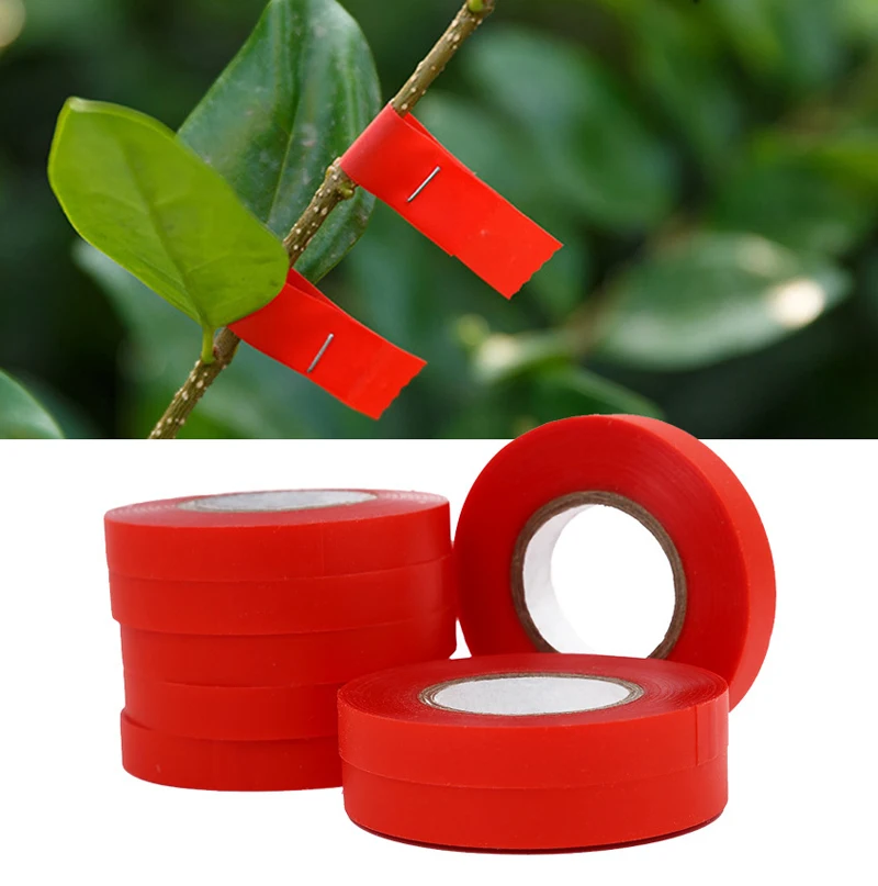 Ribbon Strecth Tape Tapetool Tapener Branch Bind Stem fruit tree Strap Tool Plant Garden Trunk Connect Link Hand tying Stake
Ribbon Strecth Tape Tapetool Tapener Branch Bind Stem fruit tree Strap Tool Plant Garden Trunk Connect Link Hand tying Stake
