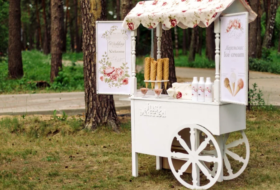 Laeacco Park Trees Ice Cream Cart Scene Wedding Portrait Seamless Photography Background Wall Photographic Backdrop Photo Studio
Laeacco Park Trees Ice Cream Cart Scene Wedding Portrait Seamless Photography Background Wall Photographic Backdrop Photo Studio