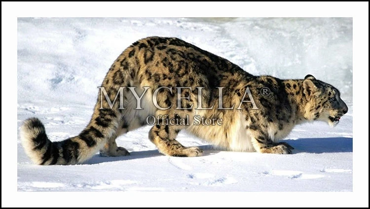 5D Diy Diamond Painting Leopard On Snow Diamond Embroidery Cross Stitch Mosaic Pattern Animal Rhinestone Needlework Home Decor 
5D Diy Diamond Painting Leopard On Snow Diamond Embroidery Cross Stitch Mosaic Pattern Animal Rhinestone Needlework Home Decor