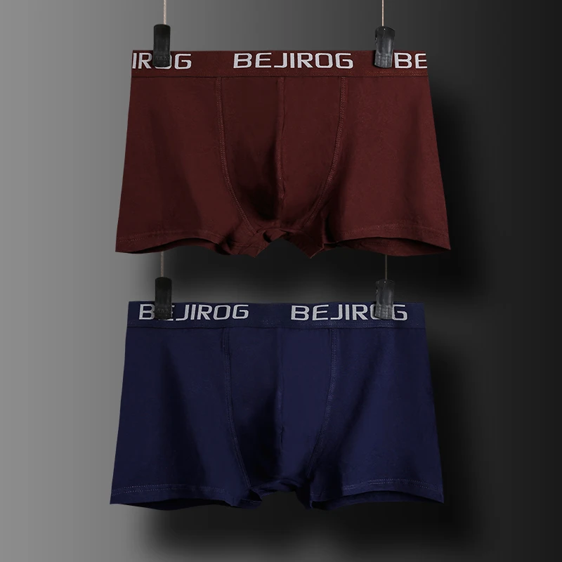 boxer (1)