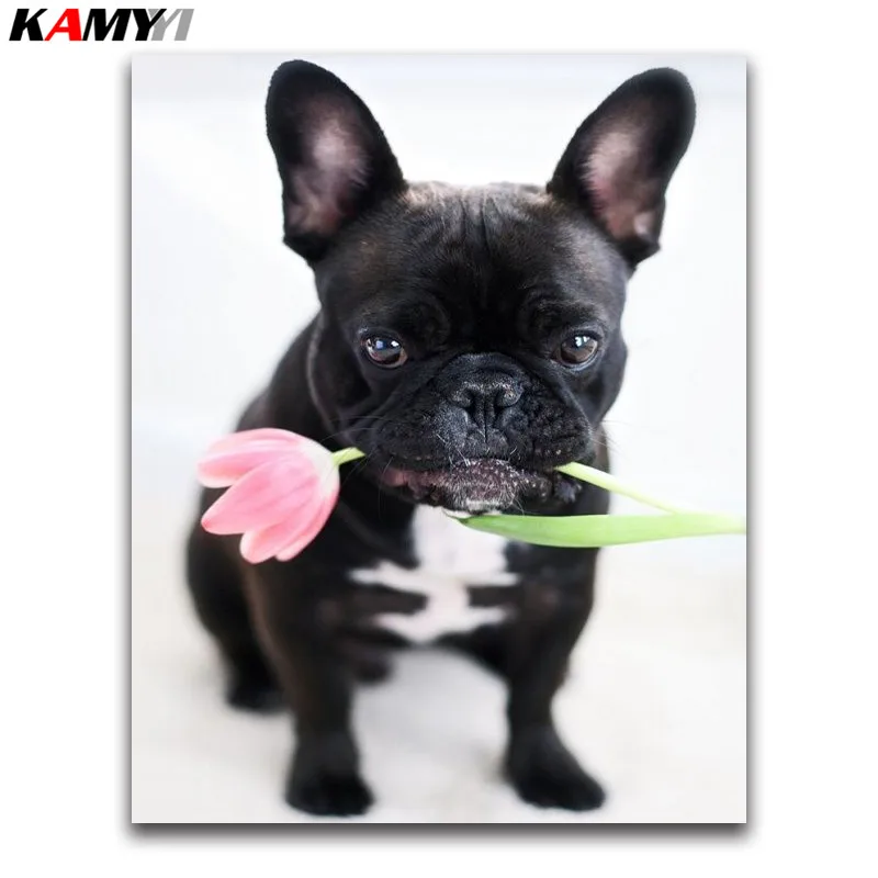 full square Diamond Mosaic tulip puppy 5D Diy Diamond Painting Cross Stitch flower black dog Diamond Embroidery french bulldog
full square Diamond Mosaic tulip puppy 5D Diy Diamond Painting Cross Stitch flower black dog Diamond Embroidery french bulldog