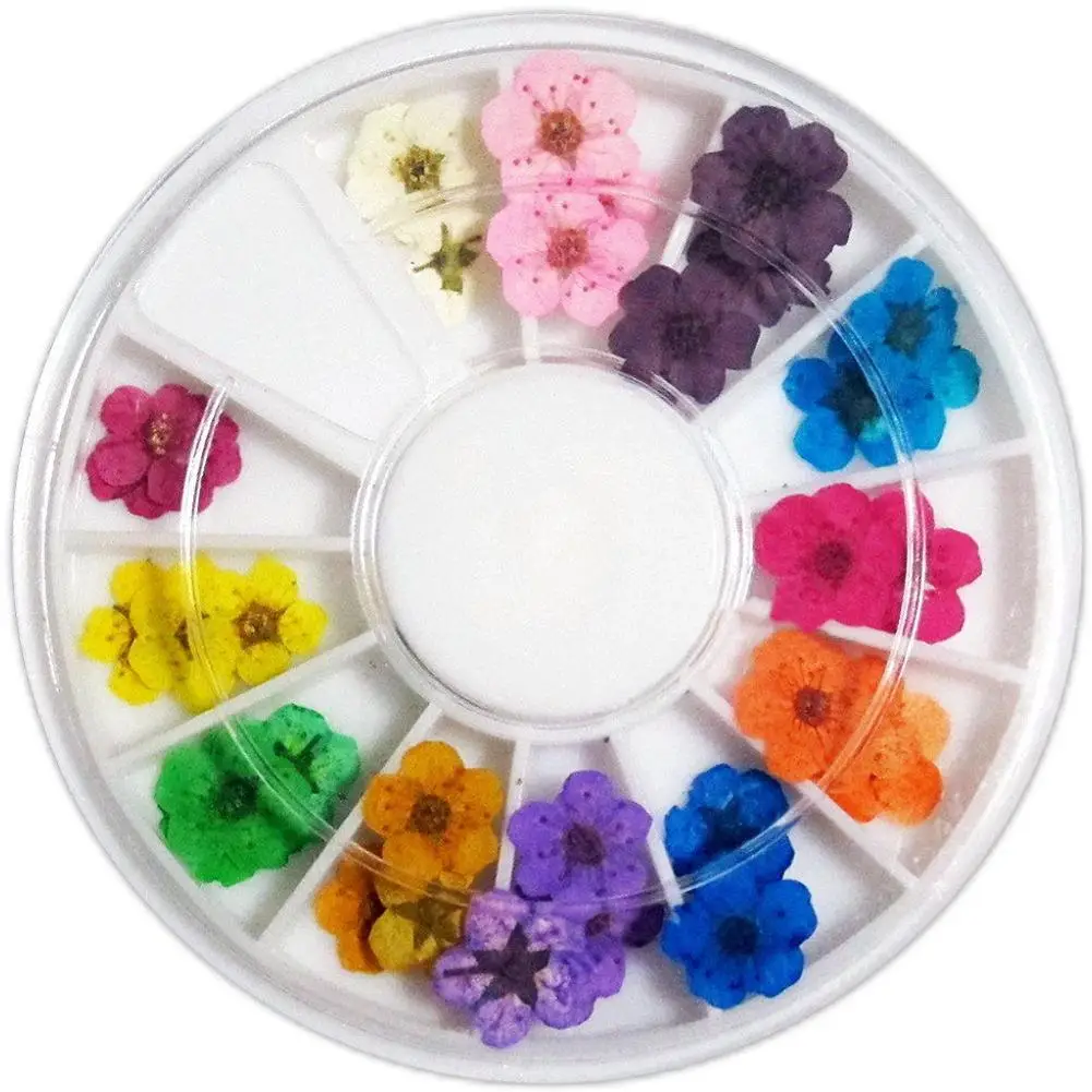 Multi Usage Manicure 12 Color 3D Real Dried Flowers UV Gel Acrylic Nail DIY Art Tips Decor
Multi Usage Manicure 12 Color 3D Real Dried Flowers UV Gel Acrylic Nail DIY Art Tips Decor