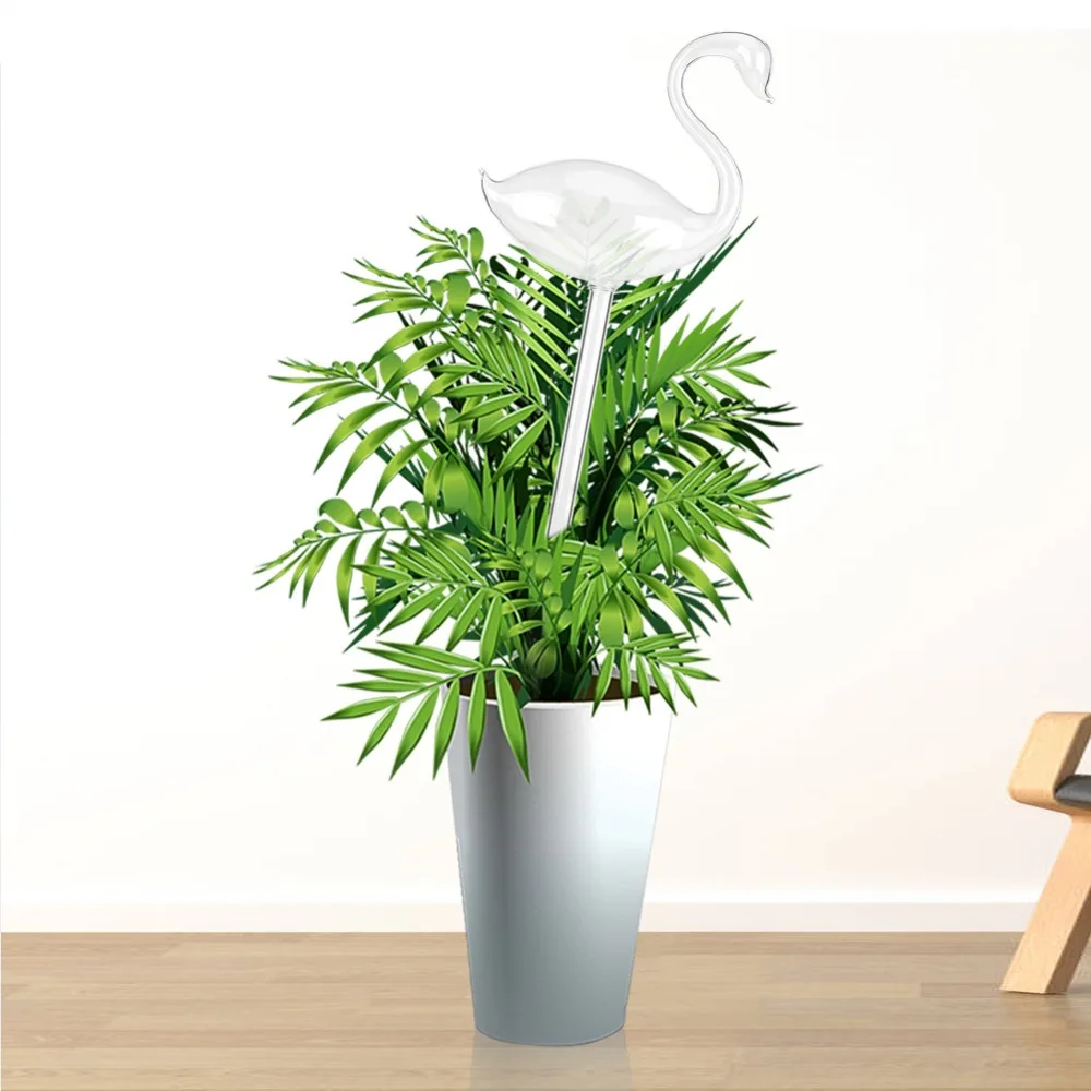 House Plant Watering (4)