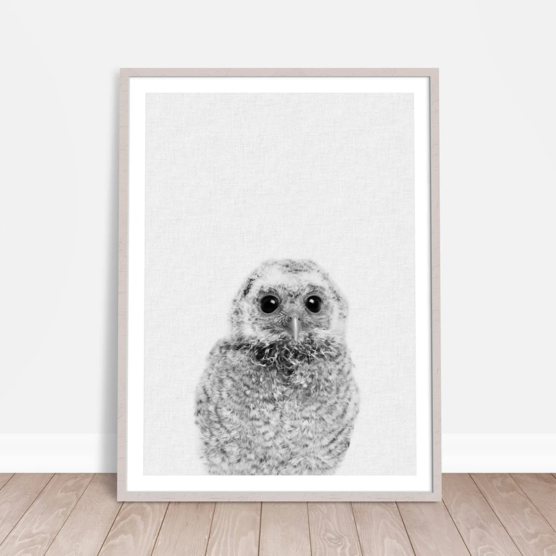Cute Animal Owl Canvas Painting Wall Picure Nursery Decor, Hairy Little Owl Canvas Print Poster Kids Room Wall Art Decor
Cute Animal Owl Canvas Painting Wall Picure Nursery Decor, Hairy Little Owl Canvas Print Poster Kids Room Wall Art Decor