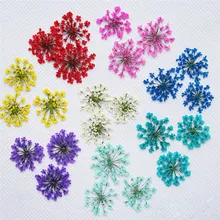 30 sztuk/zestaw prasowane suszone Ammi Majus kwiat suche rośliny dla epoksydowej wisiorek z żywicy naszyjnik tworzenia biżuterii Craft DIY akcesoria(China)