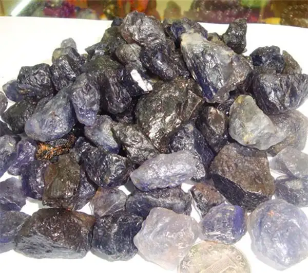 36020190224101015586