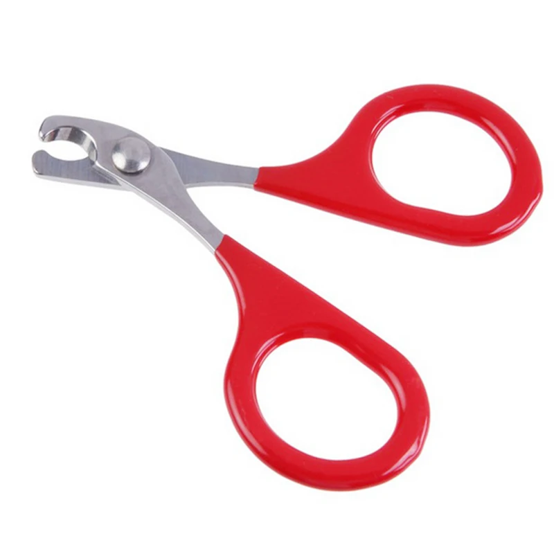5 pcs Pet Dogs Red Nail Clippers small dogs Trimmer Pet Cut Nail Scissors Sharp Stainless Steel Head Small Dog Pet Supplies
5 pcs Pet Dogs Red Nail Clippers small dogs Trimmer Pet Cut Nail Scissors Sharp Stainless Steel Head Small Dog Pet Supplies