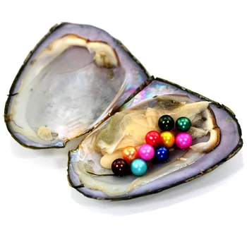 High Quality Cheap Love Freshwater Shell Pearl Oyster 10 Pearls 6-7mm Colorful Round Pearl Oyster With Vacuum Packaging FR041
High Quality Cheap Love Freshwater Shell Pearl Oyster 10 Pearls 6-7mm Colorful Round Pearl Oyster With Vacuum Packaging FR041