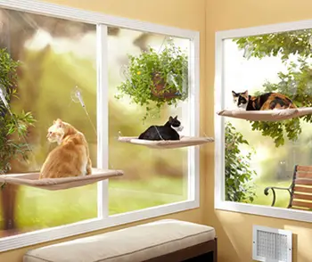 Washable Soft Pet Cat Hammock Window Mounted Bed Mat Pet Supplies Space Saving Cushion Hanging Shelf Resting Seat with Suction
Washable Soft Pet Cat Hammock Window Mounted Bed Mat Pet Supplies Space Saving Cushion Hanging Shelf Resting Seat with Suction