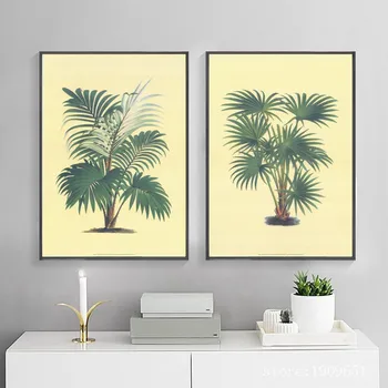no frame modern leaves of palm trees scenery canvas printings oil painting printed on cotton home wall art decoration pictures
no frame modern leaves of palm trees scenery canvas printings oil painting printed on cotton home wall art decoration pictures