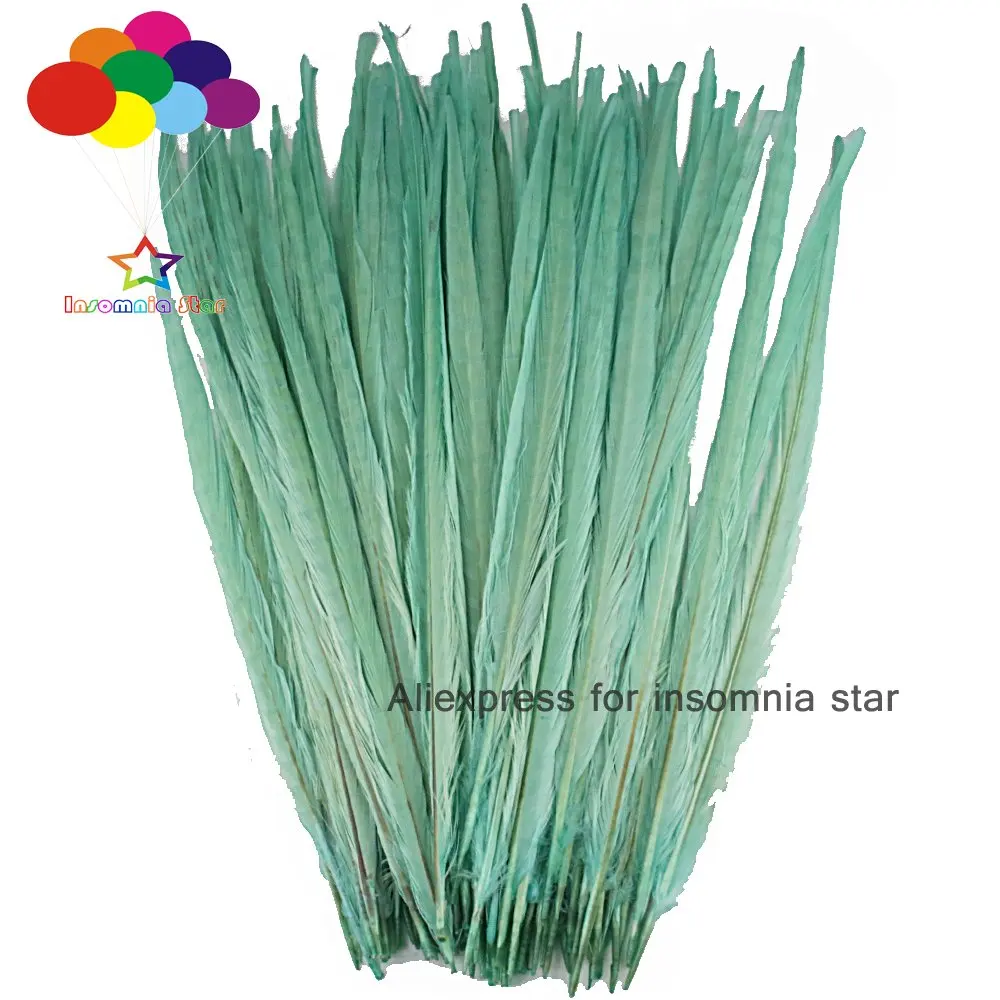 100Pcs 45-50cm Mint Dyed Natural Ringneck Pheasant Tail Feathers for Carnival plumas faisan colores view
100Pcs 45-50cm Mint Dyed Natural Ringneck Pheasant Tail Feathers for Carnival plumas faisan colores view
