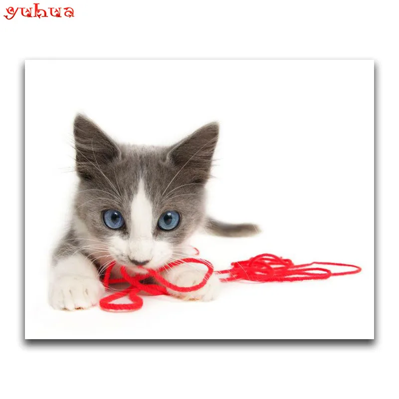Round Diamond mosaic colorful Art 5D DIY Diamond embroidery dierlijk kitten Full Square Diamond painting Cross stitch Animal Cat_