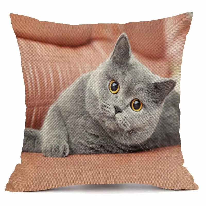 XUNYU Cute Bule Cat Pillow Case Sofa Square Decorative Pillow Cover Animal Cushion Cover 45X45cm AC152
XUNYU Cute Bule Cat Pillow Case Sofa Square Decorative Pillow Cover Animal Cushion Cover 45X45cm AC152