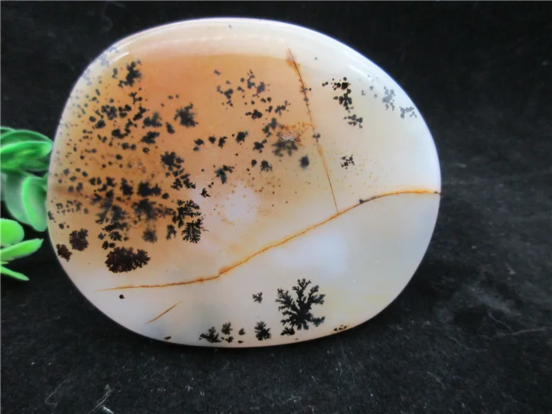 Natural Polished Aquatic Plants Agate Crystal Chakra Healing Reiki Stone Madagascar
Natural Polished Aquatic Plants Agate Crystal Chakra Healing Reiki Stone Madagascar