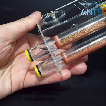1PCS Pet ants/Two 15*100mm bamboo nests in large activity area/Acrylic nests in workshop Villas ants farm house
1PCS Pet ants/Two 15*100mm bamboo nests in large activity area/Acrylic nests in workshop Villas ants farm house