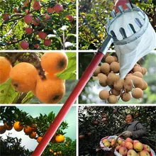 Fruit Picker Convenient Horticultural Fruit Picker Extract Pulldownandbrea Gardening Apple Peach Picking Easy To UseTools
Fruit Picker Convenient Horticultural Fruit Picker Extract Pulldownandbrea Gardening Apple Peach Picking Easy To UseTools