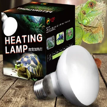 25/50/100W Reptile Light Tortoise Turtle Snake Pet Heating Light Bulb reptile supplies 220V
25/50/100W Reptile Light Tortoise Turtle Snake Pet Heating Light Bulb reptile supplies 220V