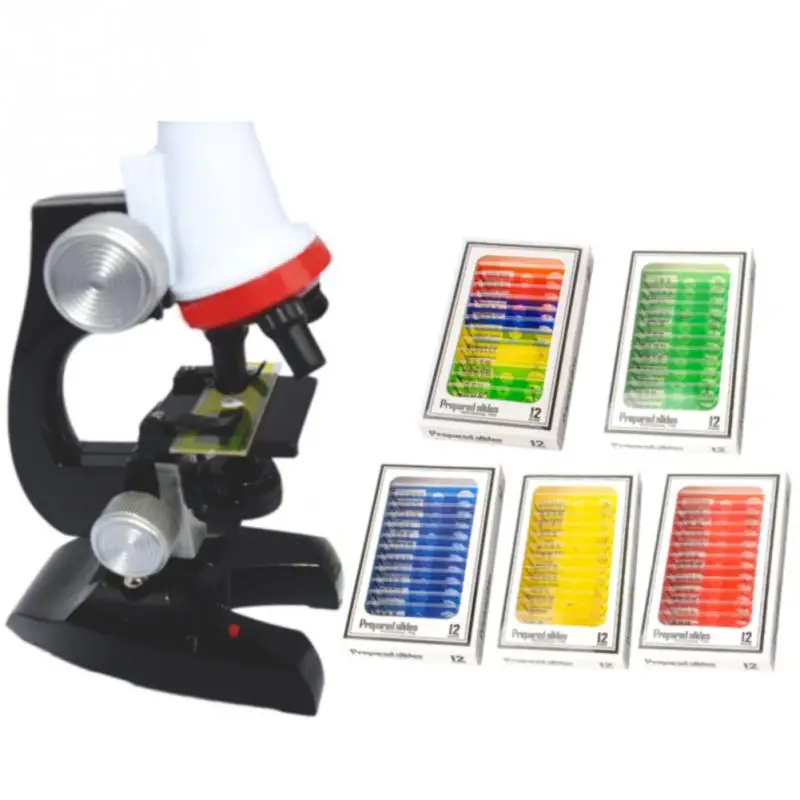 12pcs/box Science Education Plants Plastic Sample Prepared Slides Children Animals Biological Specimen Enlighten Kids Microscope
12pcs/box Science Education Plants Plastic Sample Prepared Slides Children Animals Biological Specimen Enlighten Kids Microscope
