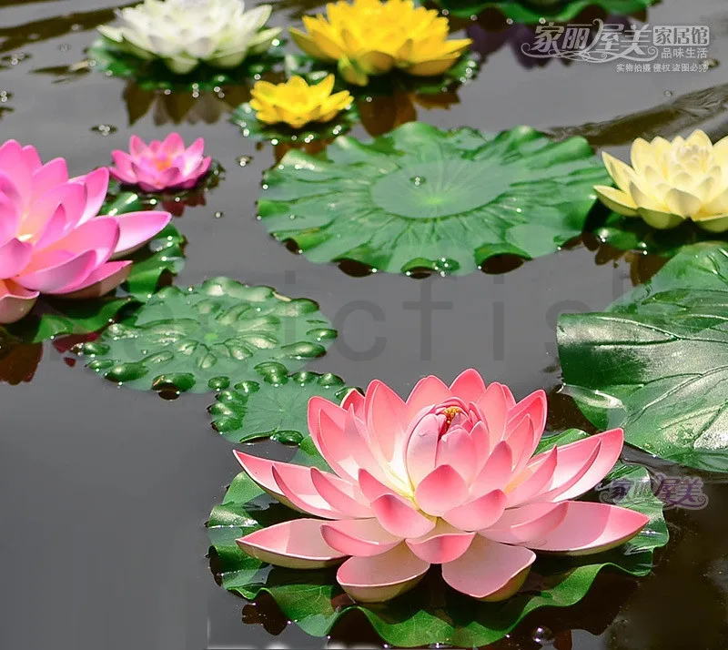 5PCS Aquarium Artificial Lotus Floating Water Lily Blooming Flower Pond Tank Plant Ornament Pool Fish Tank Home Deco
5PCS Aquarium Artificial Lotus Floating Water Lily Blooming Flower Pond Tank Plant Ornament Pool Fish Tank Home Deco