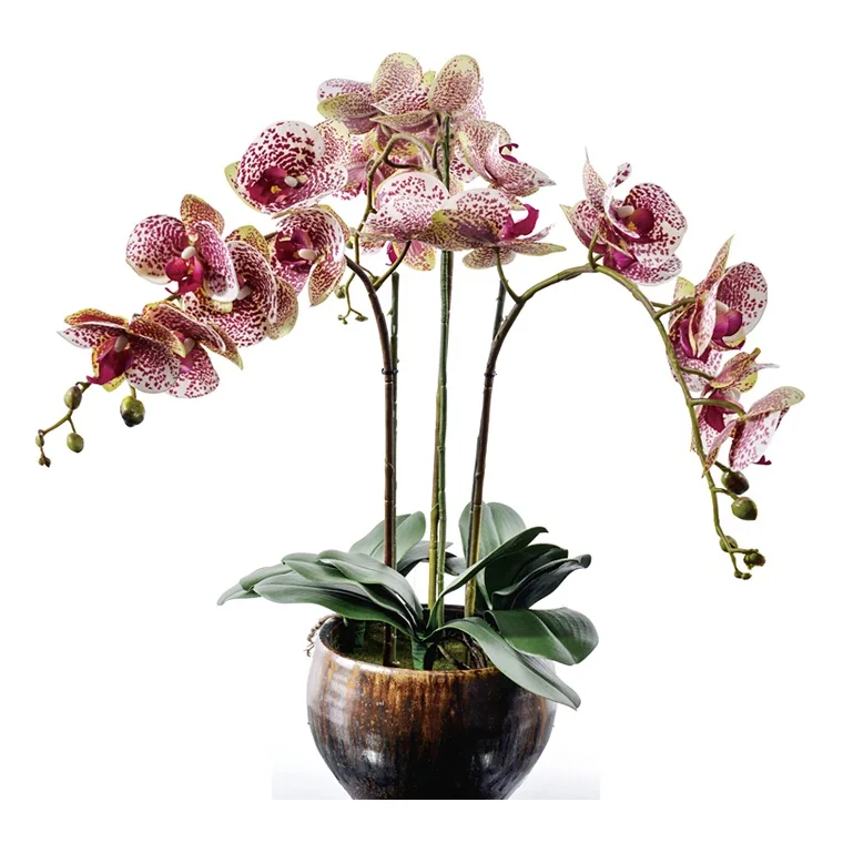 Flower Arrangment Purple Orchids With Leaves Real Touch Flower Wedding Party Fake Flower Decorative Event Free Shipping
Flower Arrangment Purple Orchids With Leaves Real Touch Flower Wedding Party Fake Flower Decorative Event Free Shipping