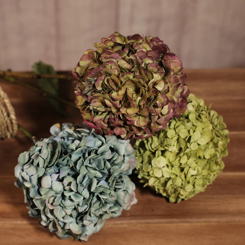 Free Shipping Embroidery ball flower dry flower home decoration bouquet air - drying natural diy flower materials
Free Shipping Embroidery ball flower dry flower home decoration bouquet air - drying natural diy flower materials