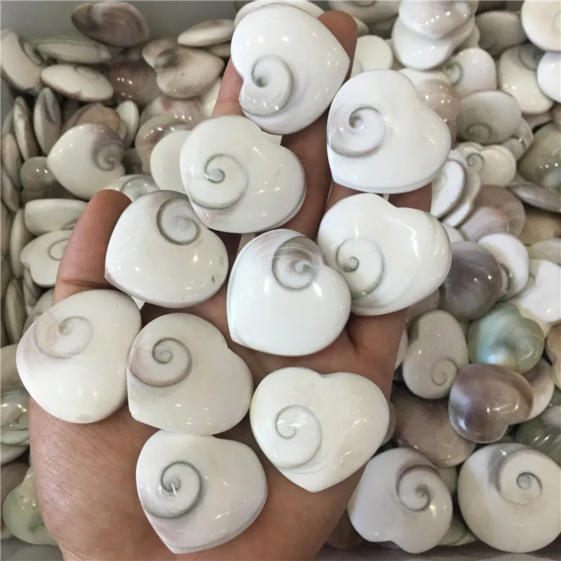 10pcs beautiful natural stones and minerals sun conch heart shaped gemstones healing crystals for home decoration&DIY panddent
10pcs beautiful natural stones and minerals sun conch heart shaped gemstones healing crystals for home decoration&DIY panddent