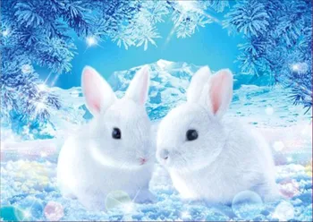5D DIY Snow Rabbit Mural Picture Cross Mosaic Diamond Embroidery Square/round Decorative Painting
5D DIY Snow Rabbit Mural Picture Cross Mosaic Diamond Embroidery Square/round Decorative Painting