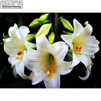 5D DIY Diamond embroidery Cross stitch Lily Full Square/Round Diamond mosaic Diamond painting decoration HYY
5D DIY Diamond embroidery Cross stitch Lily Full Square/Round Diamond mosaic Diamond painting decoration HYY