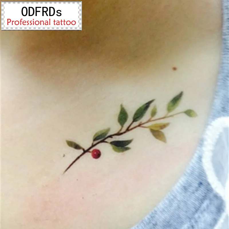 (Min order $0.5) waterproof temporary tattoo tatoo henna fake flash tattoo stickers Taty tatto Olive branch SYA024
(Min order $0.5) waterproof temporary tattoo tatoo henna fake flash tattoo stickers Taty tatto Olive branch SYA024