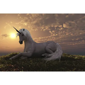 Dusk And Sunset Photography Background White Unicorn And Clouds Green Lawn Backdrop For Youtube Videos Photo Studio Booth Props
Dusk And Sunset Photography Background White Unicorn And Clouds Green Lawn Backdrop For Youtube Videos Photo Studio Booth Props