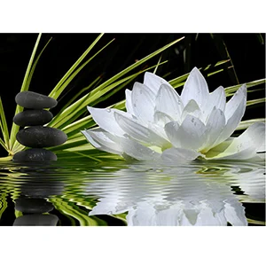 5D diamond Painting Lotus flower Cross Stitch diy diamond embroidery flowers diamonds wall stickers home decor love gift
5D diamond Painting Lotus flower Cross Stitch diy diamond embroidery flowers diamonds wall stickers home decor love gift