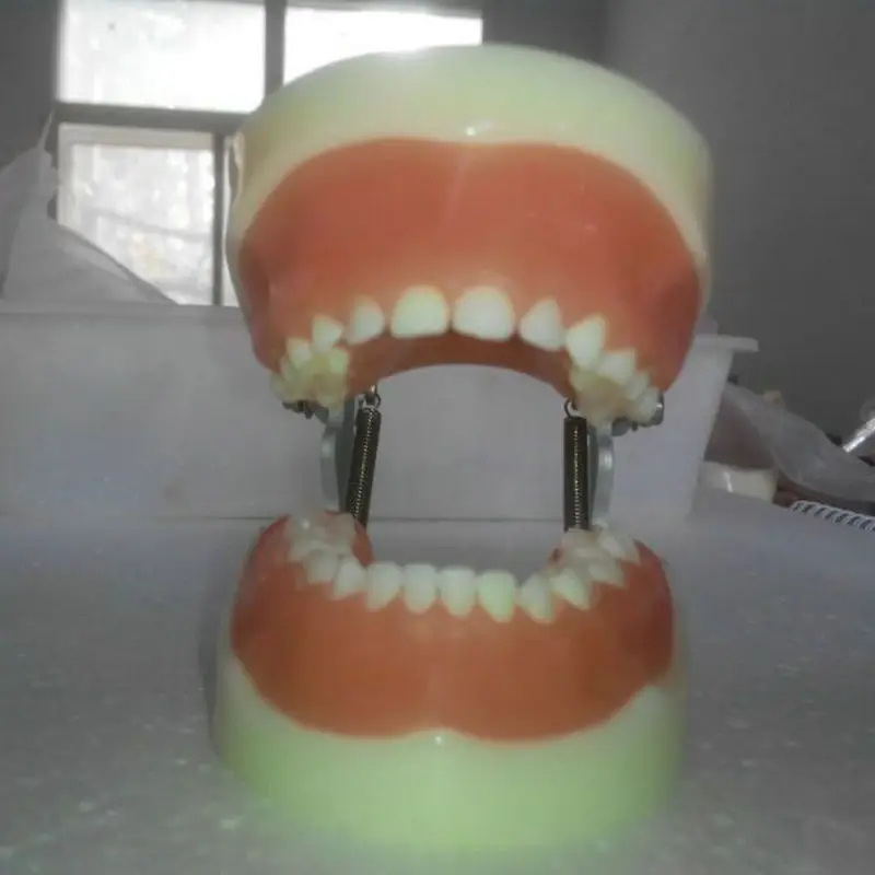 1pc dentistry and oral care Child teeth models Dental Teeth Jaw Models for dental school teaching dentist dental teeth Models
1pc dentistry and oral care Child teeth models Dental Teeth Jaw Models for dental school teaching dentist dental teeth Models