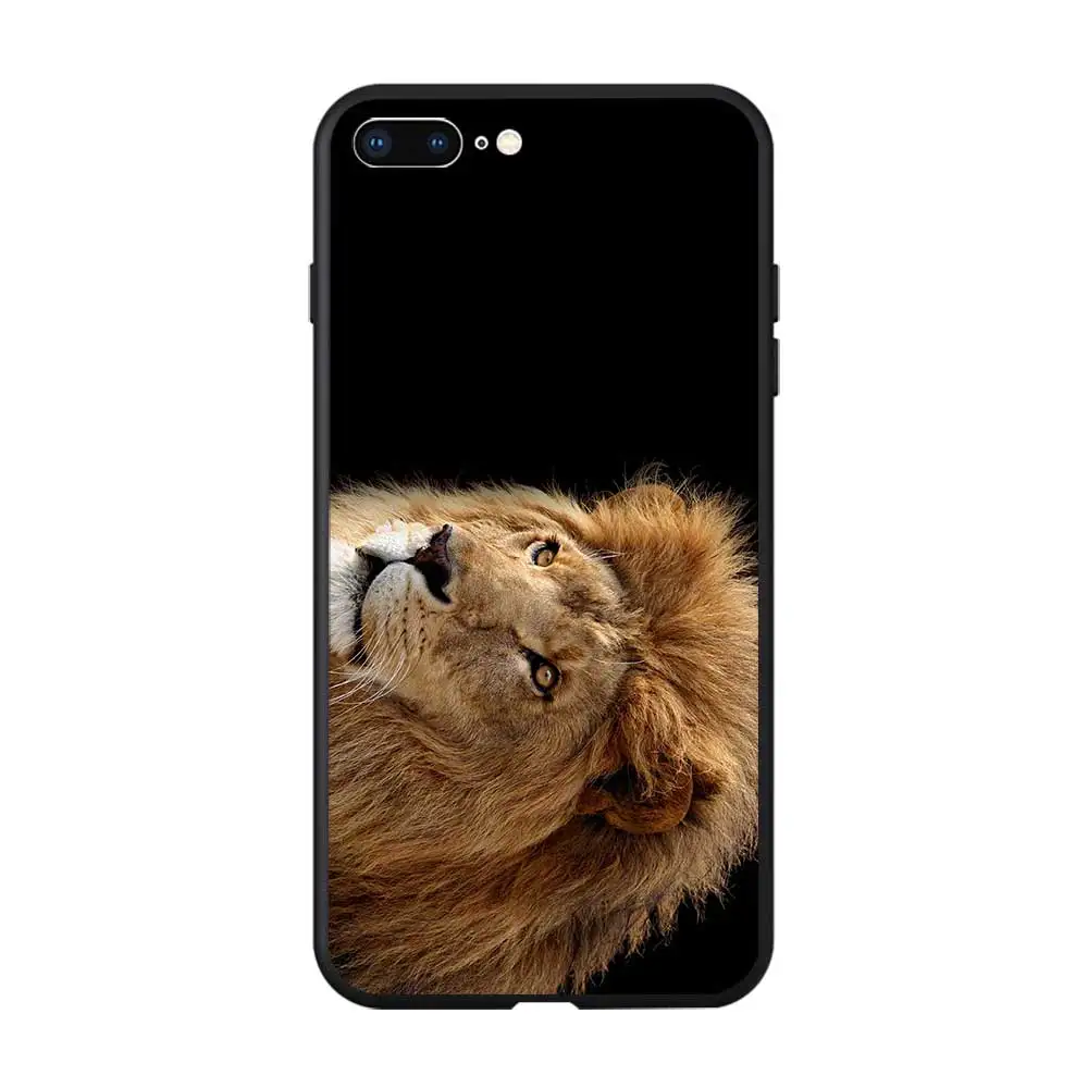 lions3