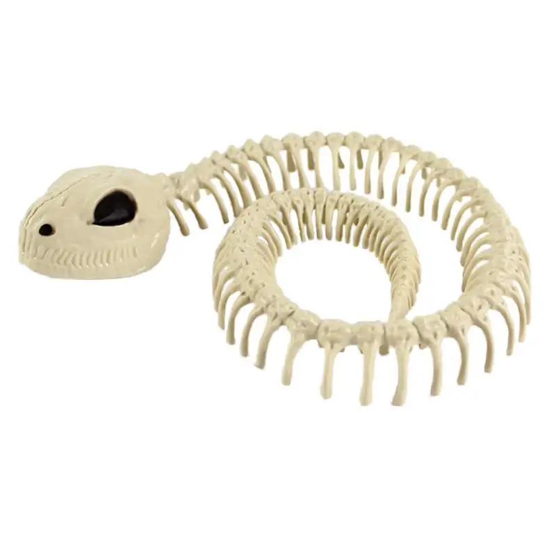 Skeleton Snake Ornament Halloween Movie Props Animal Skeleton Bat Mouse Horror Haunted House Simulation Bone
Skeleton Snake Ornament Halloween Movie Props Animal Skeleton Bat Mouse Horror Haunted House Simulation Bone