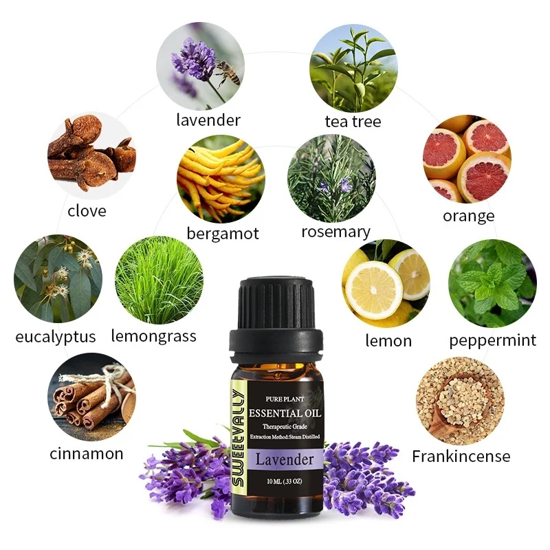 10ml Essential Oils For Aromatherapy Diffusers Relieve Stress Essential Oils Organic Body Help Sleep Flower Fruit Oil 12 Flavors
10ml Essential Oils For Aromatherapy Diffusers Relieve Stress Essential Oils Organic Body Help Sleep Flower Fruit Oil 12 Flavors