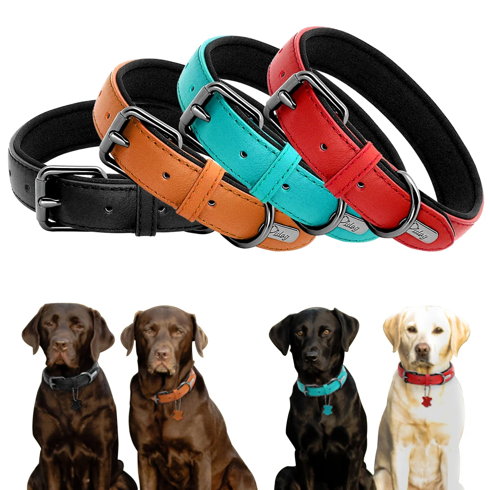 Real Leather Dog Collar Custom Padded Dog ID Collars Dog Accessories For Small Medium Large Dogs Pitbull Bulldog
Real Leather Dog Collar Custom Padded Dog ID Collars Dog Accessories For Small Medium Large Dogs Pitbull Bulldog