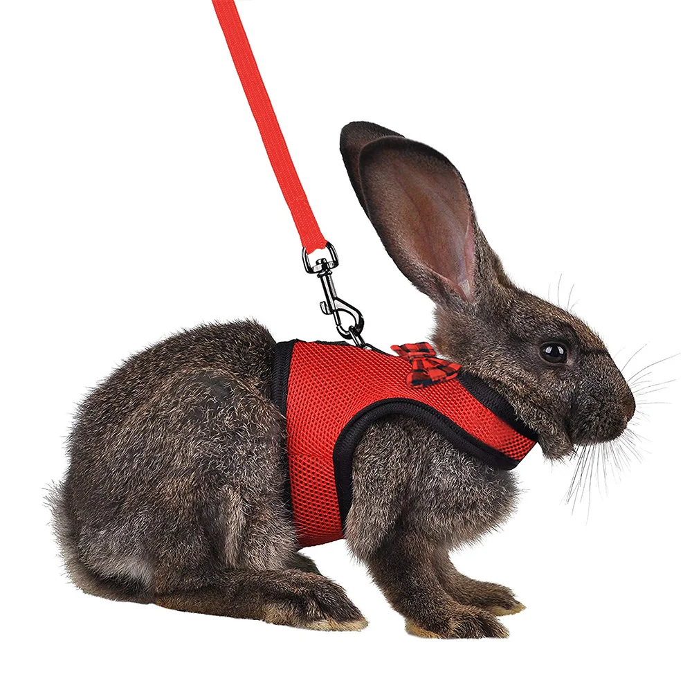 Rabbits Hamster Vest Harness With Leash,Bunny Mesh Chest Strap Harnesses Ferret Guinea Pig Small Animals Pet Accessories S/M/L
Rabbits Hamster Vest Harness With Leash,Bunny Mesh Chest Strap Harnesses Ferret Guinea Pig Small Animals Pet Accessories S/M/L